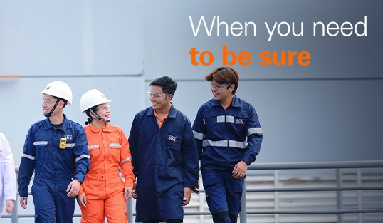 Turn Customs Complexity Into Competitive Advantage